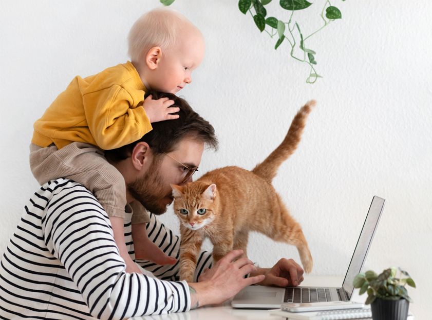 features-grid-laptop-cat