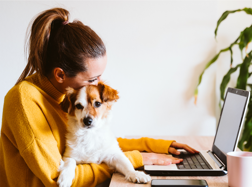 features-grid-laptop-dog